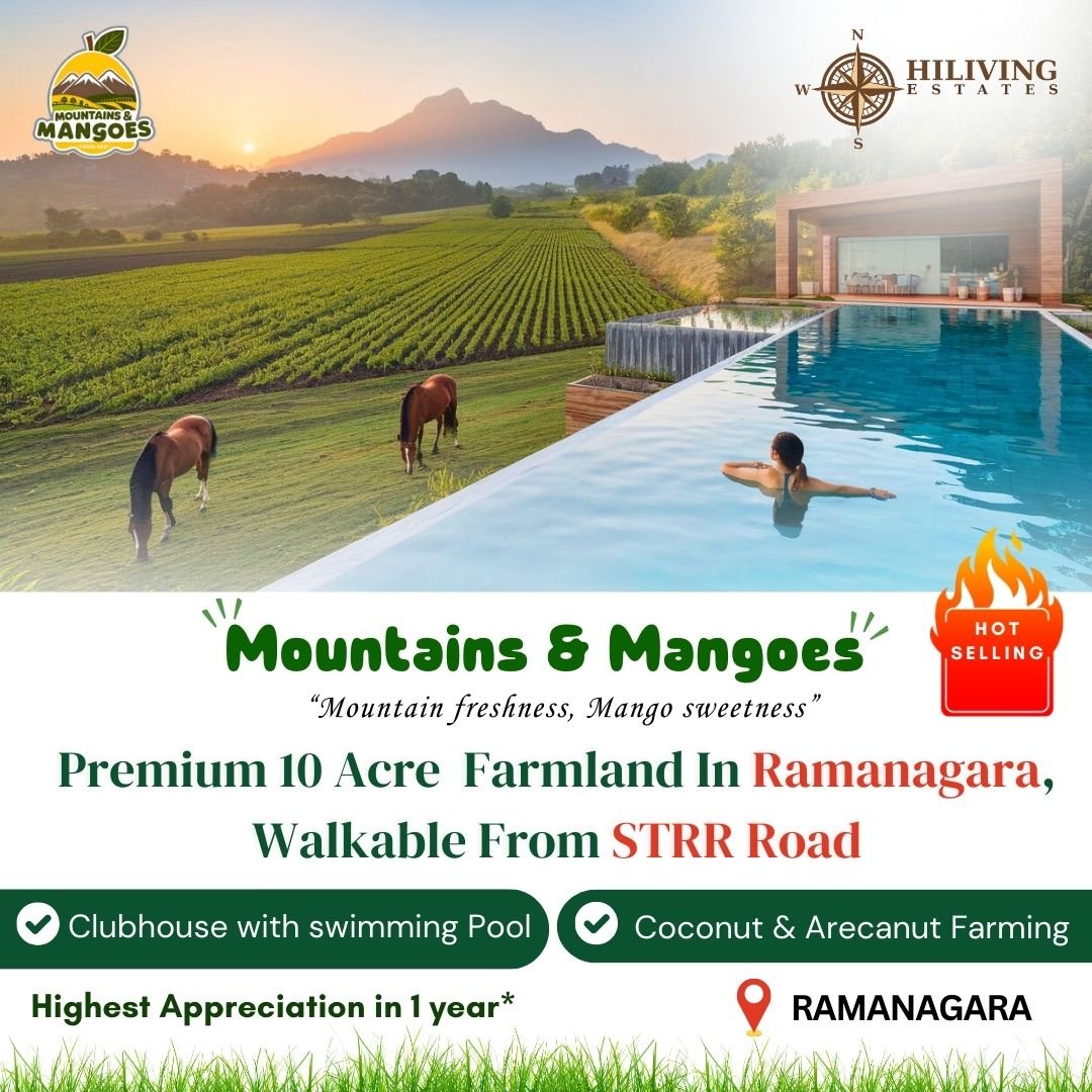 Mountains & Mangoes Farmland