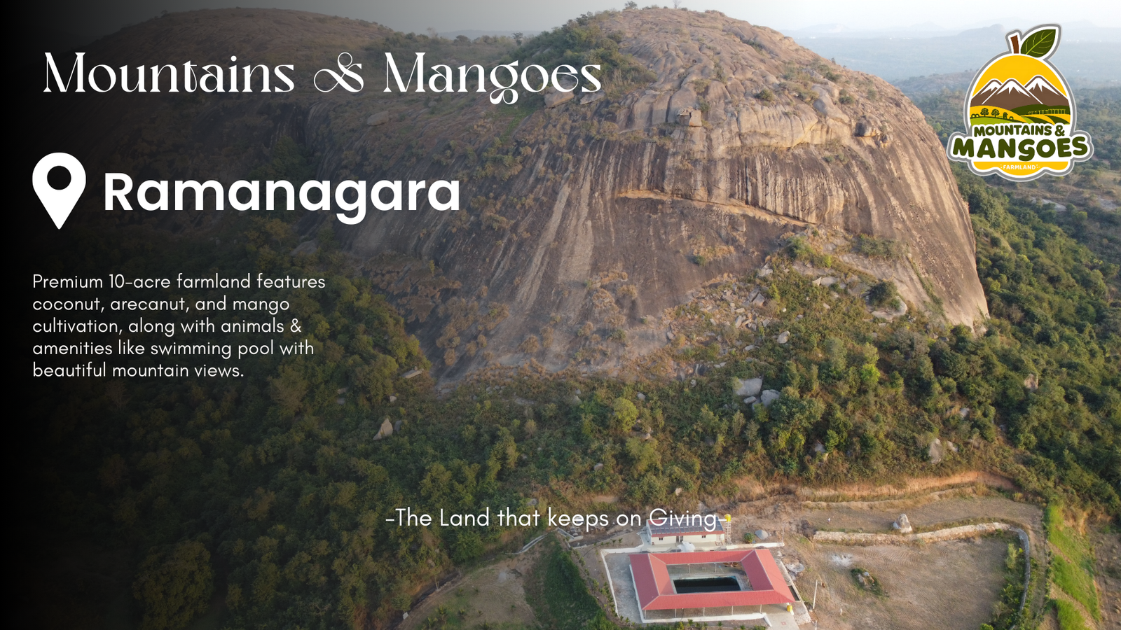 Mountains & Mangoes